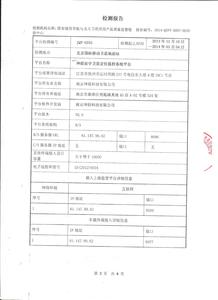 平台过检报告